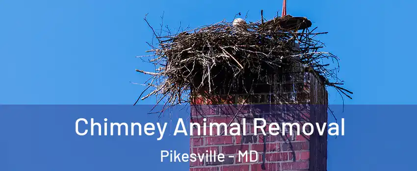Chimney Animal Removal Pikesville - MD