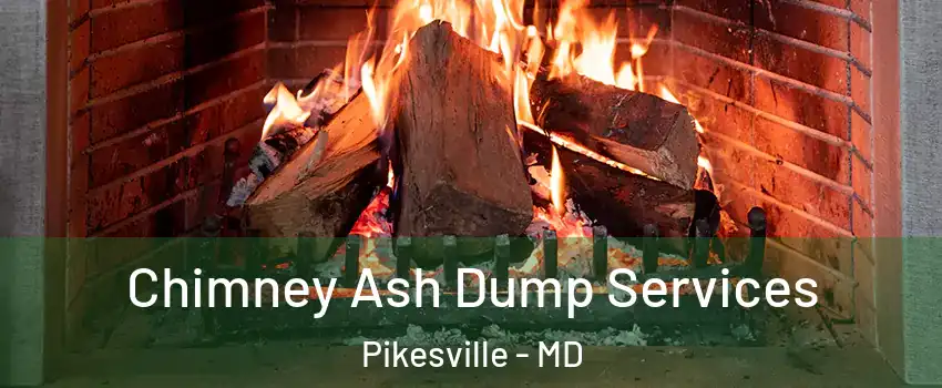  Chimney Ash Dump Services Pikesville - MD