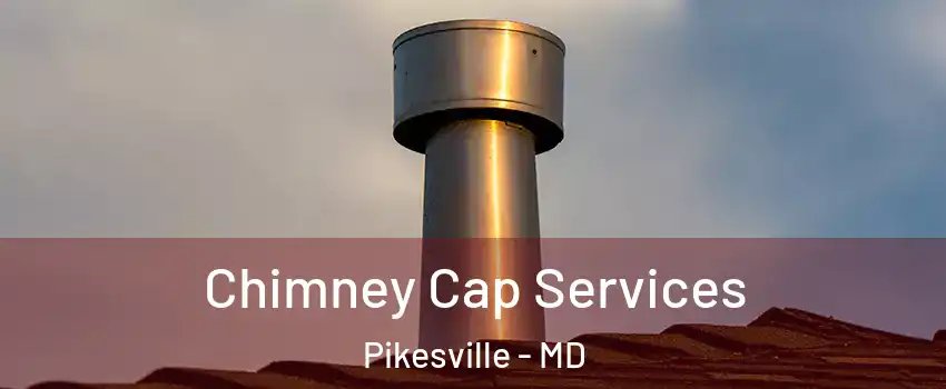  Chimney Cap Services Pikesville - MD