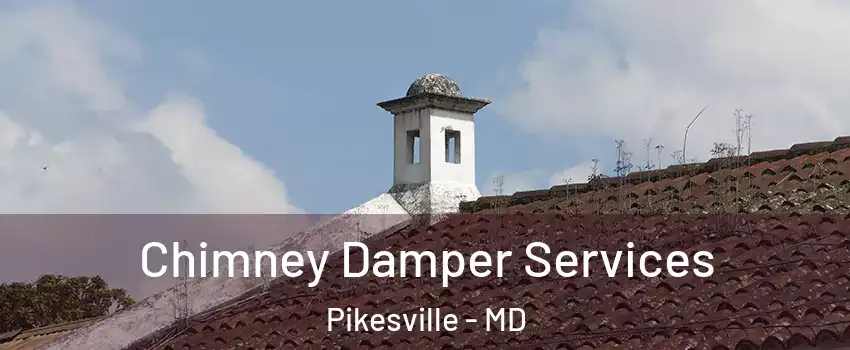  Chimney Damper Services Pikesville - MD