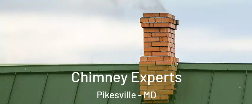 Chimney Experts Pikesville - MD