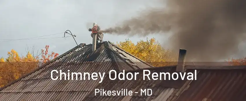  Chimney Odor Removal Pikesville - MD