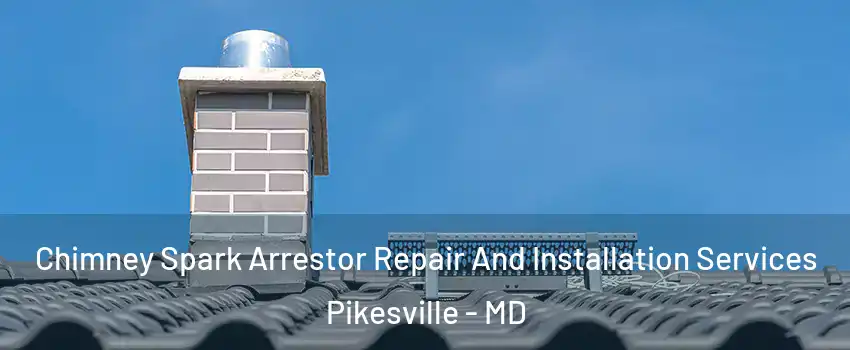  Chimney Spark Arrestor Repair And Installation Services Pikesville - MD