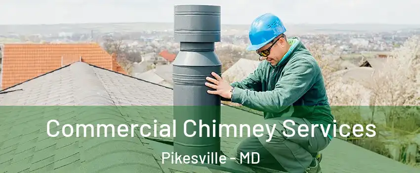  Commercial Chimney Services Pikesville - MD