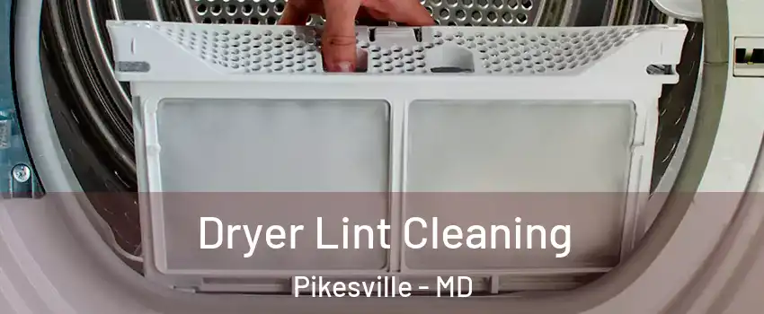  Dryer Lint Cleaning Pikesville - MD