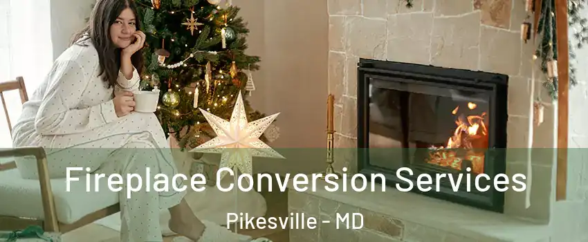  Fireplace Conversion Services Pikesville - MD