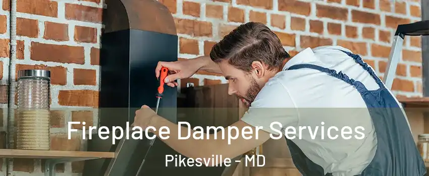  Fireplace Damper Services Pikesville - MD