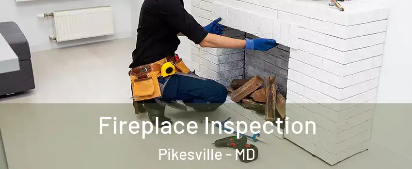  Fireplace Inspection Pikesville - MD