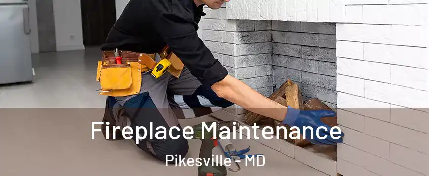  Fireplace Maintenance Pikesville - MD
