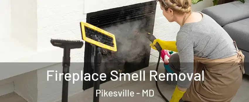  Fireplace Smell Removal Pikesville - MD