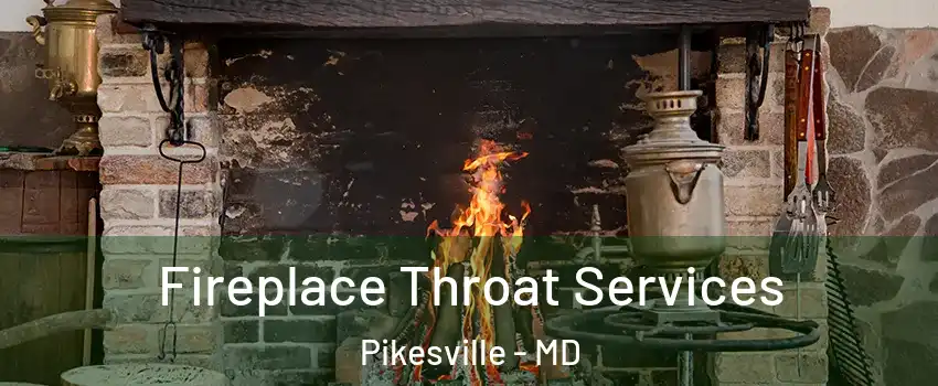  Fireplace Throat Services Pikesville - MD