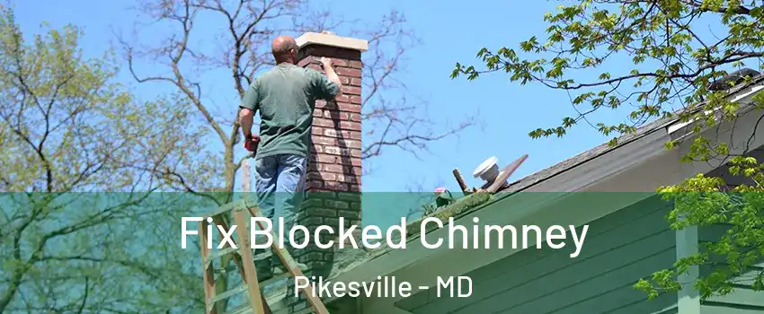  Fix Blocked Chimney Pikesville - MD
