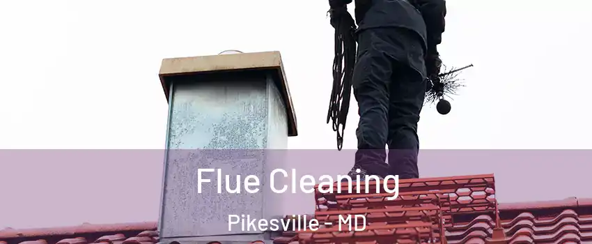  Flue Cleaning Pikesville - MD