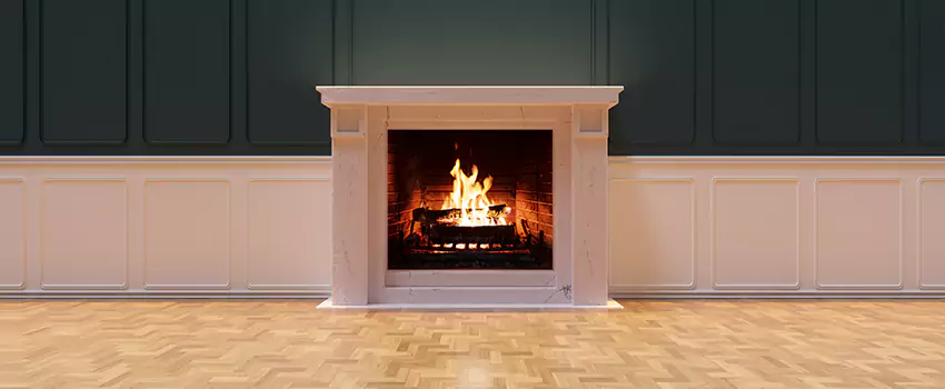 Napoleon Electric Fireplaces Inspection Service in Pikesville, Maryland