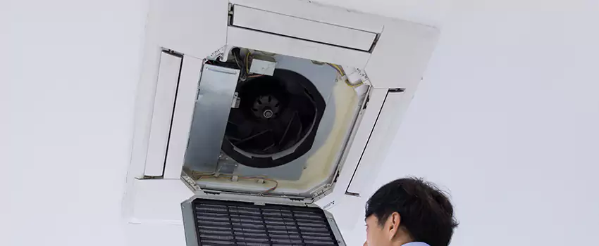 Benefits of Professional Air Duct Cleaning in Pikesville, Maryland