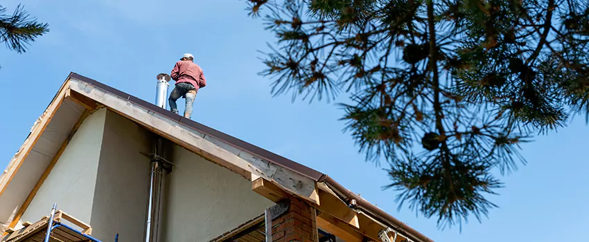 Birds Removal Contractors from Chimney in Pikesville, MD