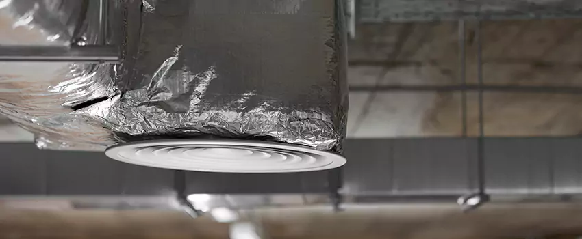 Signs of Dust Accumulation in Vents in Pikesville, MD