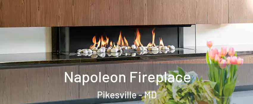  Napoleon Fireplace Pikesville - MD