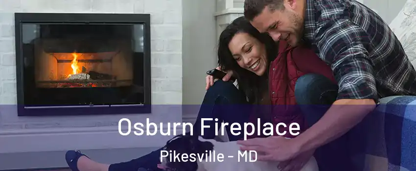  Osburn Fireplace Pikesville - MD